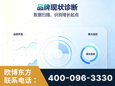 扬中-品牌现状诊断